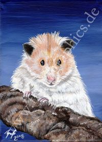 Tierportrait, Hamster, Portrait