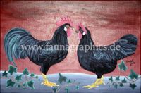 Hühnerportrait, Tierportrait, Italiener schwarz